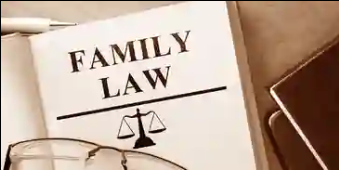Family & Matrimonial Lawyer